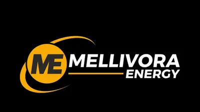 Usługi elektryczne MELLIVORA ENERGY